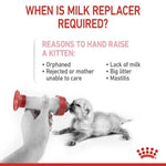 Royal Canin Babycat Royal Canin All Breeds Newborn Cat Milk.