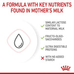 Royal Canin Babycat Royal Canin All Breeds Newborn Cat Milk.