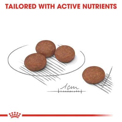 Royal Canin Dog Food Mini Digestive Care 3 Kg Petfast.shop Royal Canin Dog Dry Food Food petfast.shop EgyptDefault Title 2400.00