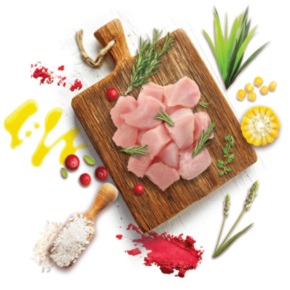 Raw chicken pieces on a wooden cutting board with herbs and spices on a white background