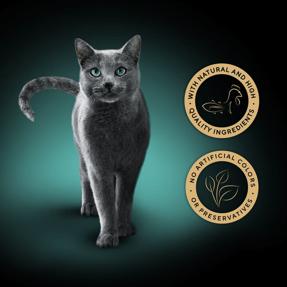 Gray cat standing on a gradient background with two gold circular logos.