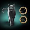 Gray cat standing on a gradient background with two gold circular logos.
