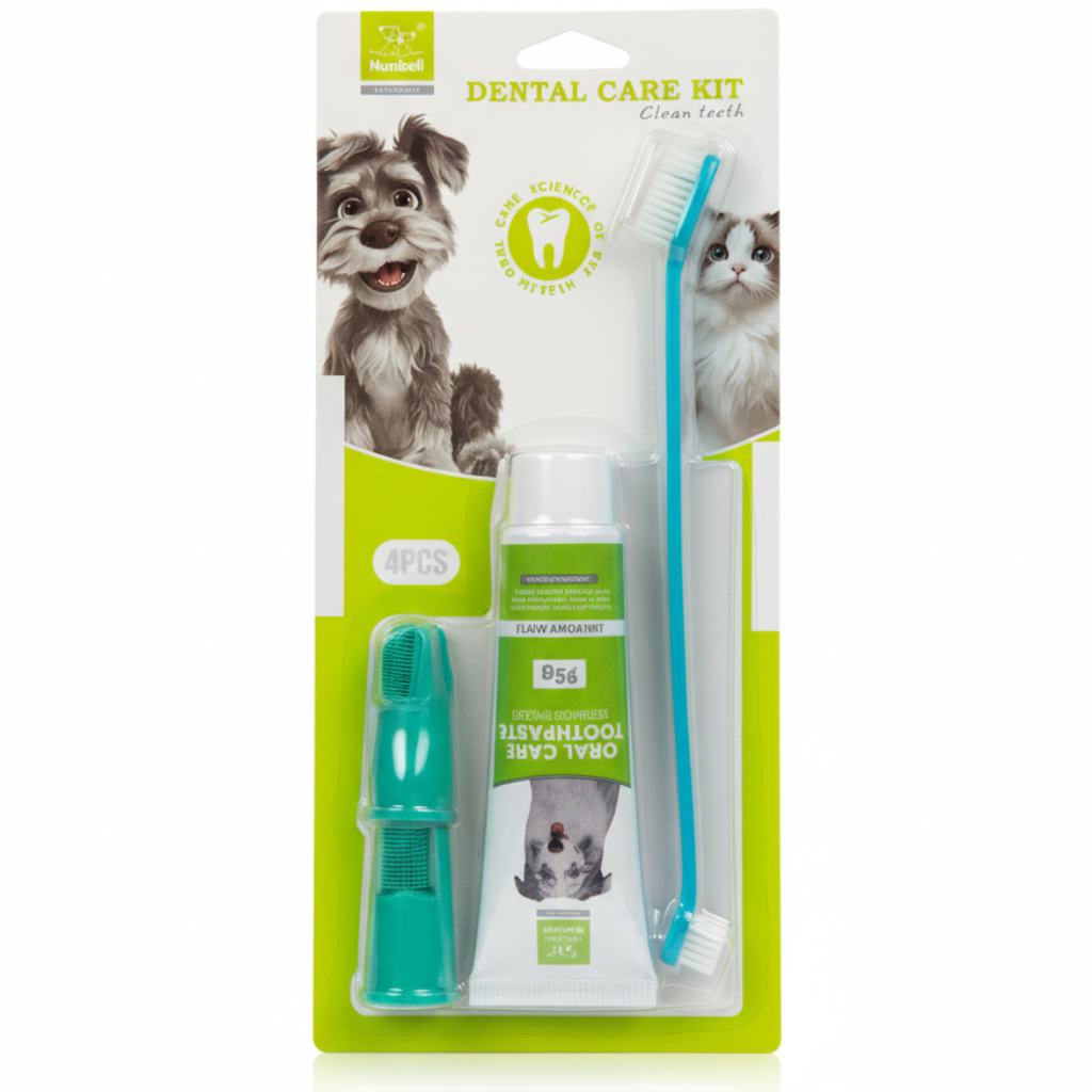 Nunbell Dental Care Kit أخضر/تركواز على خلفية بيضاء