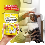 Temptations cat treat package with a cat and person in the background
