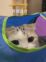 Rainbow Cat Tunnel with Hanging Toy.