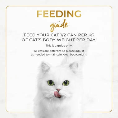 FANCY FEAST Classic Pate Savoury Salmon Feast Gourmet Cat Food 85g.