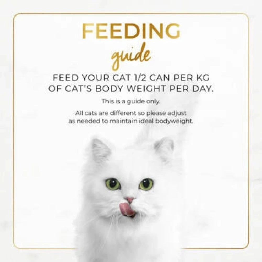 BUY 9 + 1 FERR Fancy Feast Classic Pate Savoury Salmon Feast Gourmet Cat Food 85g Petfast.shop Fancy Feast Bundles Cat Exclude Fancy Feast Food Wet Food petfast.shop EgyptDefault Title 1980.00