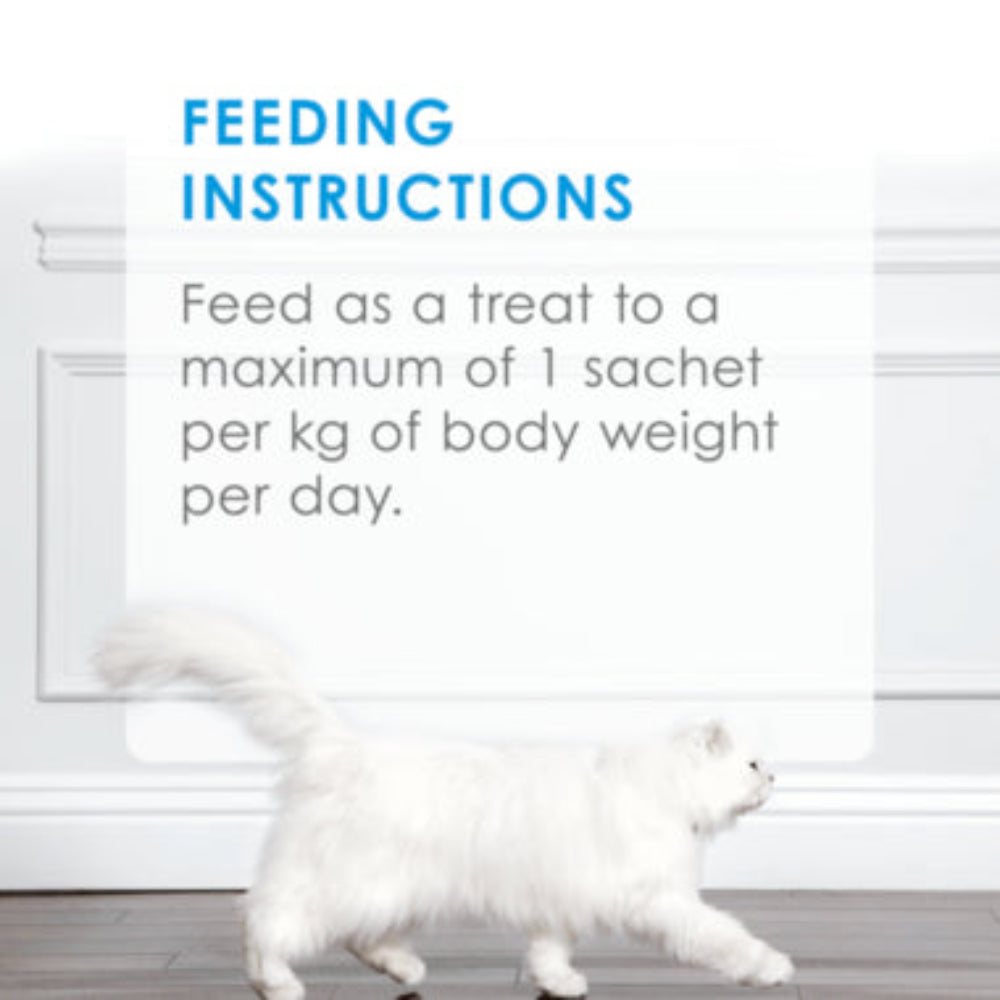 White cat walking on a wooden floor with feeding instructions text overlay.