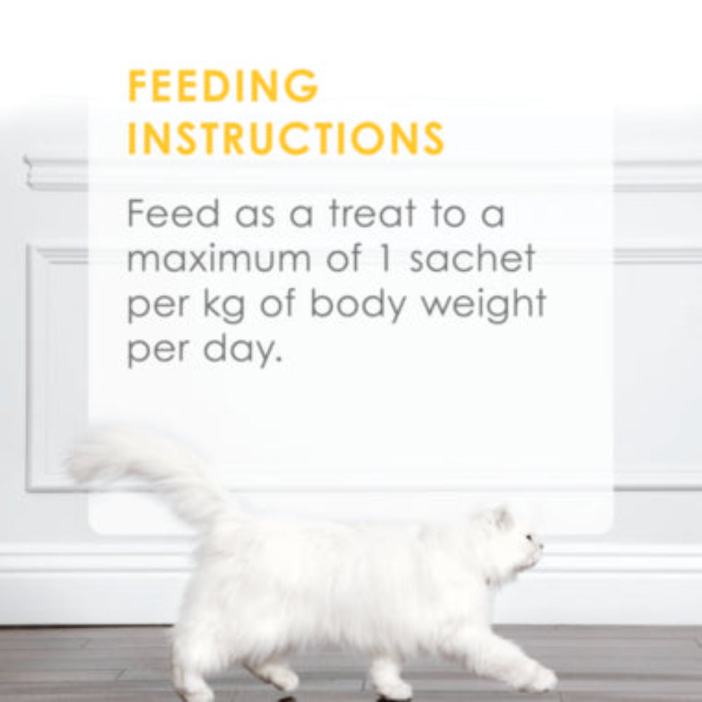 White cat walking on a wooden floor with feeding instructions text overlay.