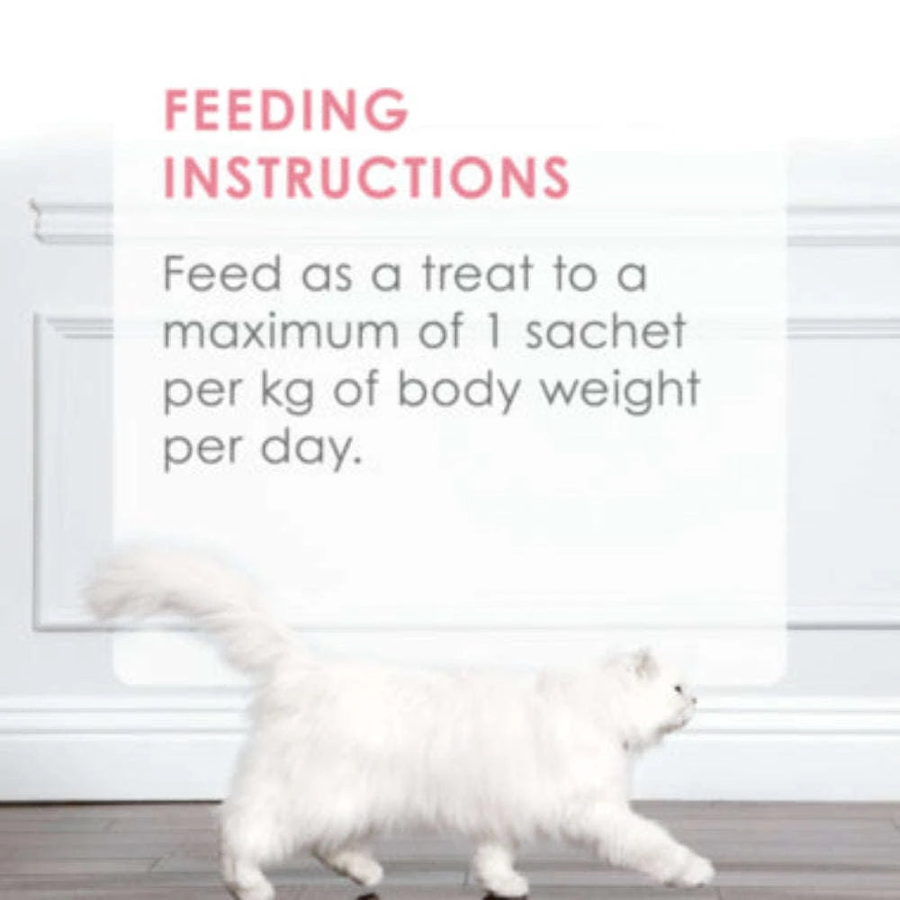 White cat walking on a wooden floor with feeding instructions text overlay.