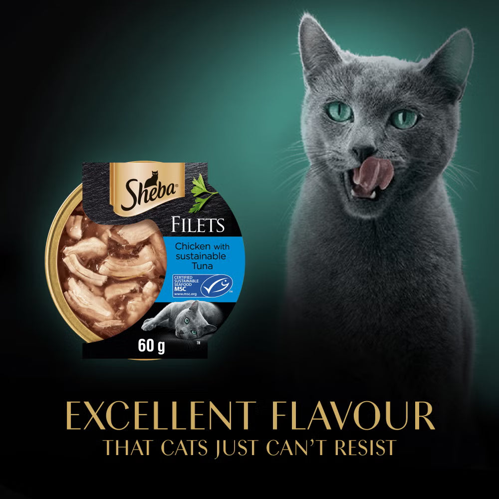Sheba Filets cat food packaging with a gray cat on a dark background