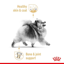 Royal Canin Adult Pomeranian 1.5 Kg Petfast.shop Royal Canin Dog Dry Food Food petfast.shop EgyptDefault Title 1320.00