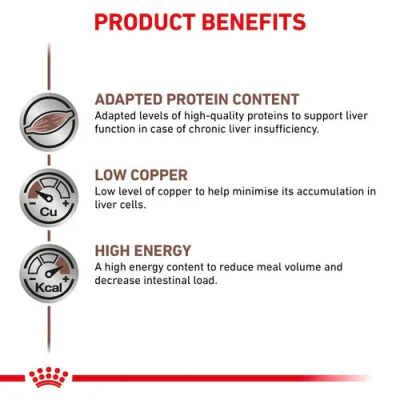 Royal Canin Dog Food Hepatic in Loaf Can 420g