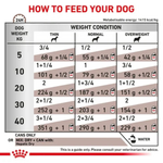 Feeding chart for dogs showing recommended amounts of canned food based on weight and condition.