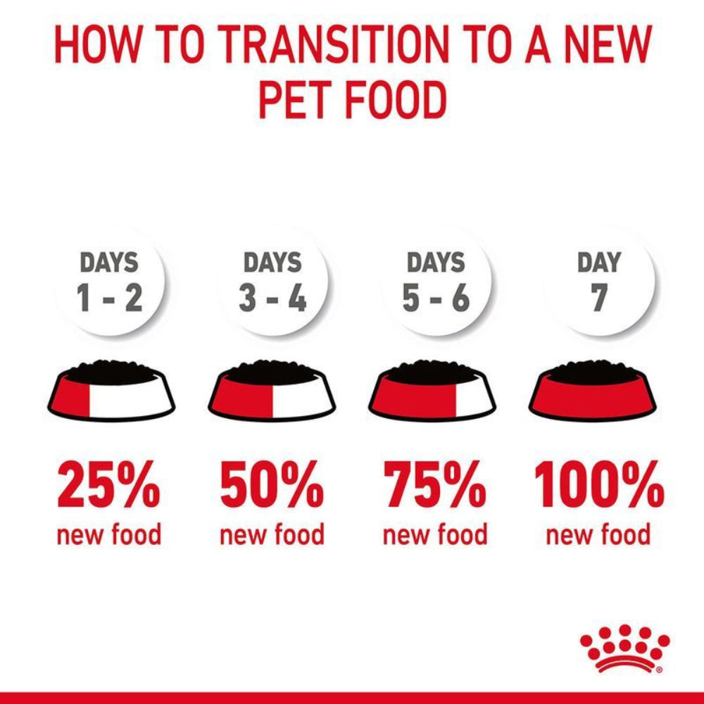 Gradual transition chart for introducing new pet food with逐步增加新食物的比例