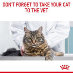 Cat being examined by a vet with a warning to take cats to the vet.