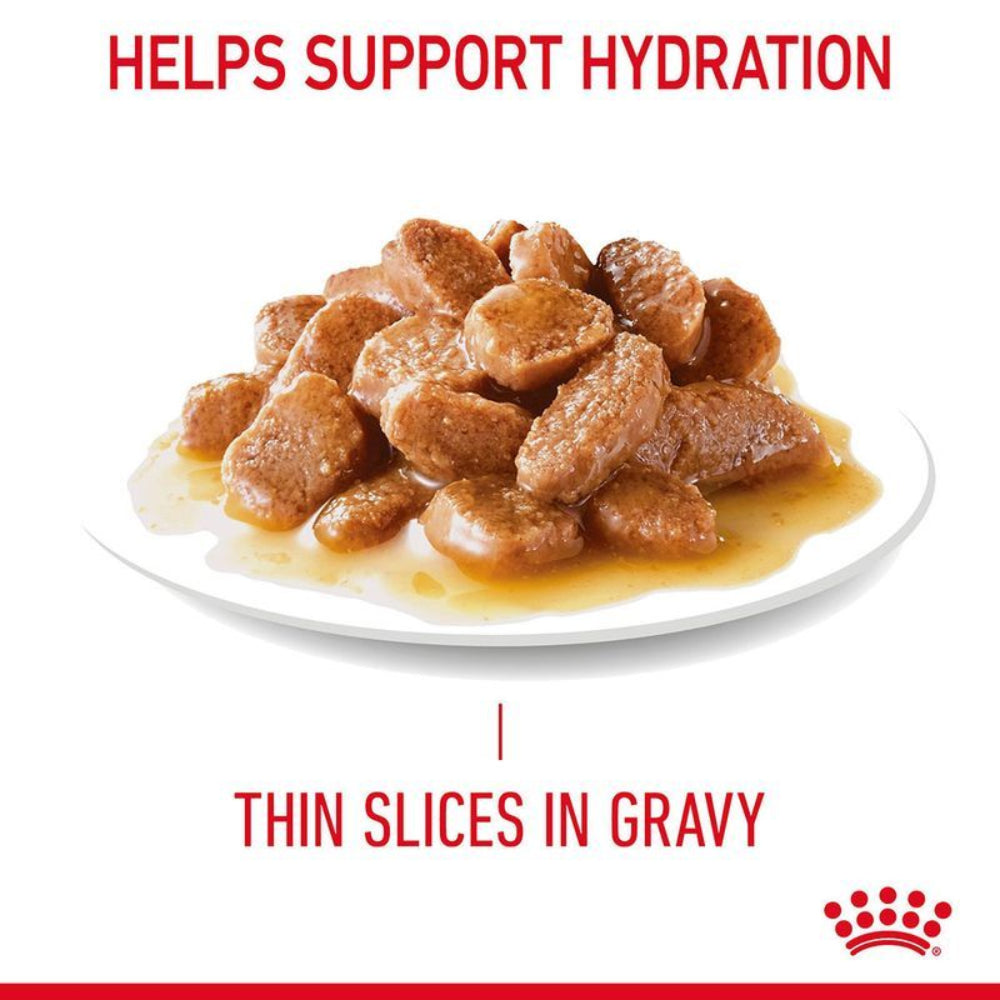 Cat food with thin slices in gravy on a white plate, labeled 'Helps Support Hydration' and 'Thin Slices in Gravy'.