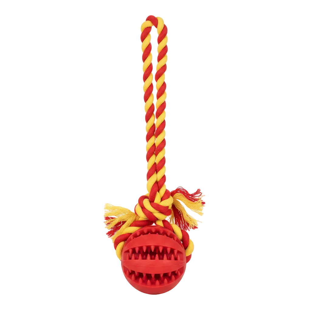 Dog Toys Tooth Cleaning Ball for Small Dog Training Petfast.shop Generic Dog Supplies Toys petfast.shop EgyptRed 220.00