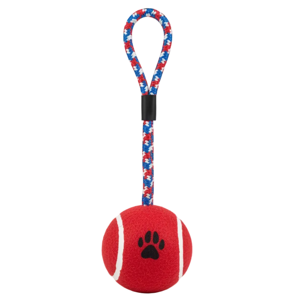 Dog Tennis with Rope Toy