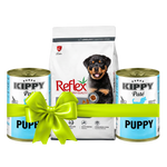 كيس Reflex وعلبتا Kippy فقط بنفس الترتيب والتفاصيل