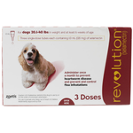 Revolution flea treatment packaging for dogs with a dog illustration on a white background