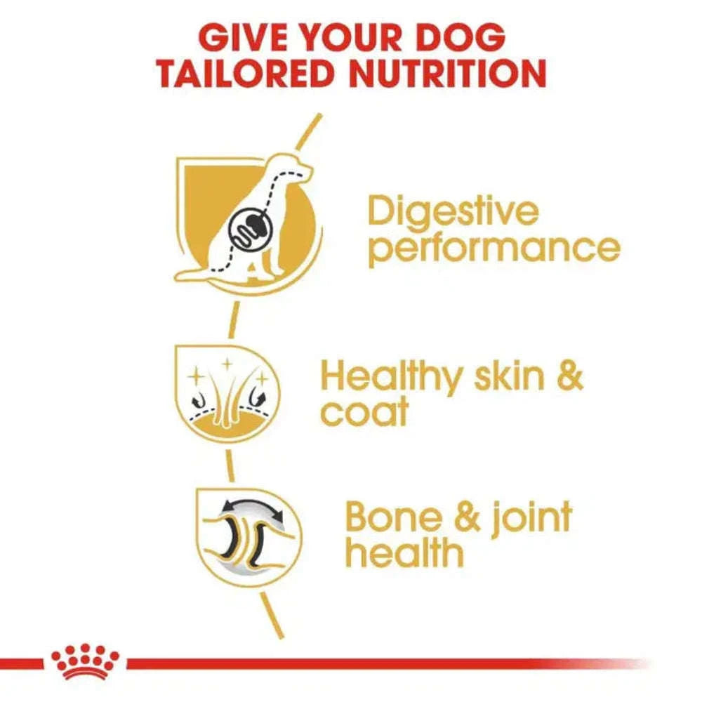 Royal Canin German Shepherd 3Kg Adult Dog Food.