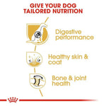Royal Canin German Shepherd 3Kg Adult Dog Food.
