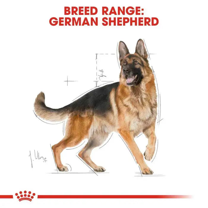 Royal Canin German Shepherd 3Kg Adult Dog Food.