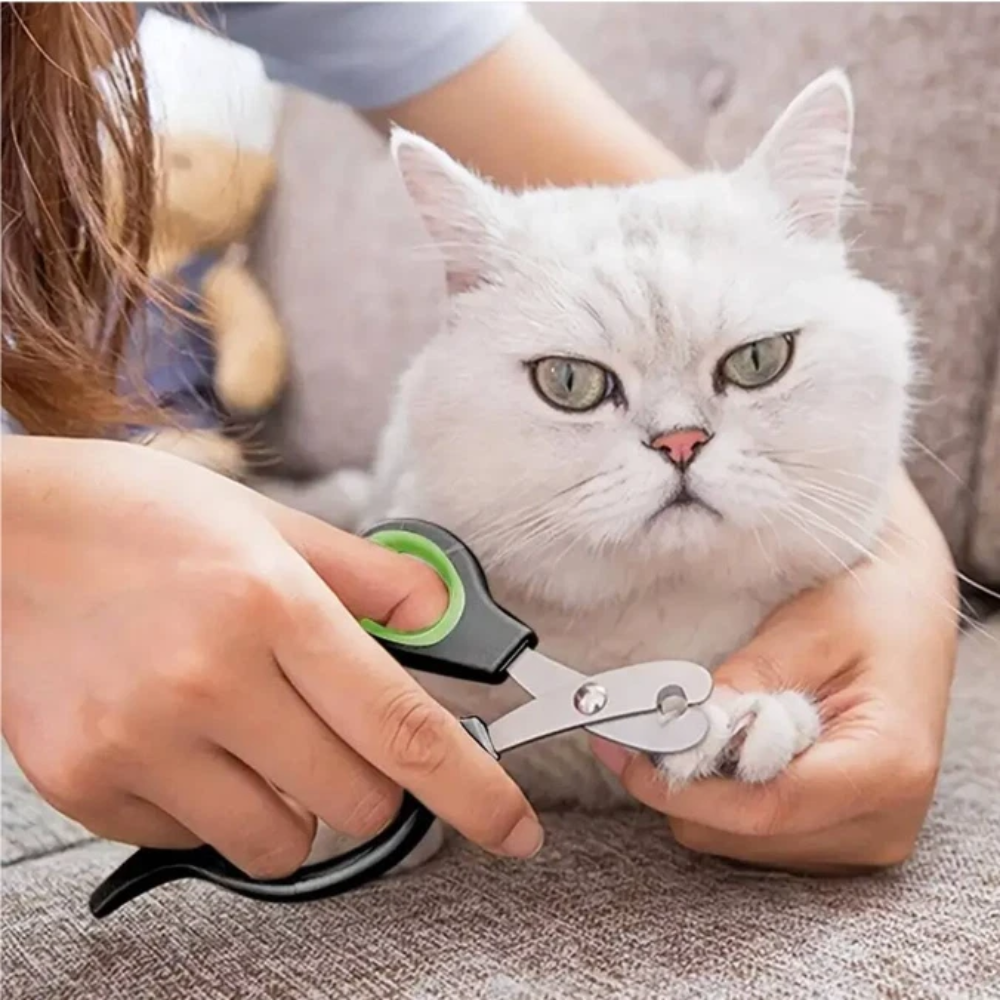 Person trimming a cat's nails with a pet nail clipper.
