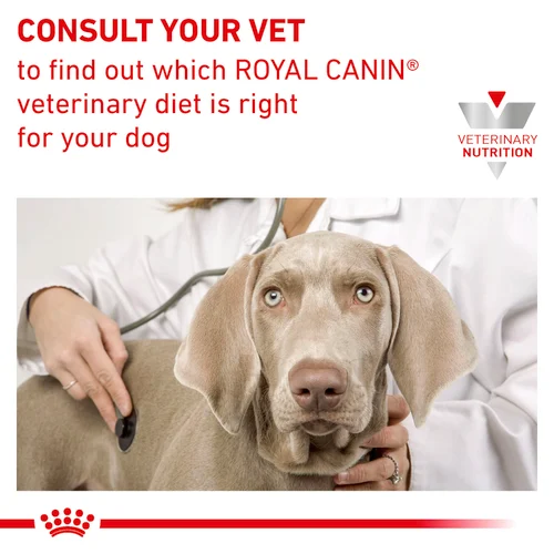 Royal Canin Wet Food Urinary S/O in Gravy Pouch 85 g