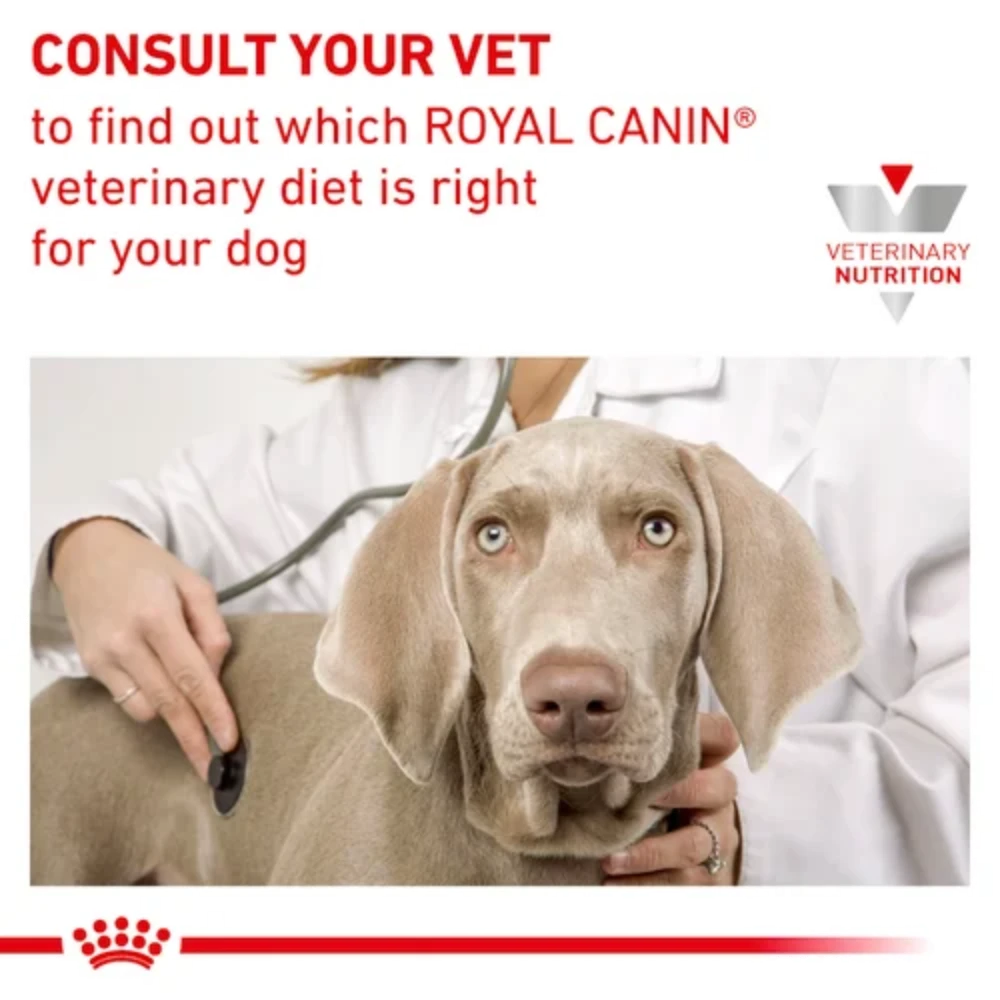 Dog being examined by a vet with Royal Canin branding