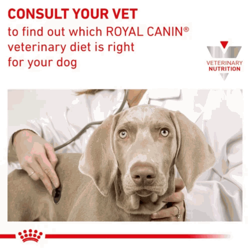 Dog being examined by a vet with Royal Canin branding