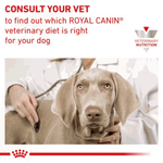 Dog being examined by a vet with Royal Canin branding