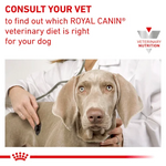 Royal Canin Wet Food Urinary S/O in Gravy Pouch 85 g