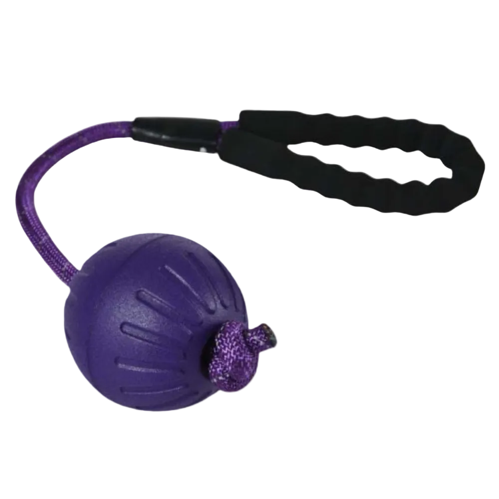 Naomi -YT108140 Dog Bite Toy L