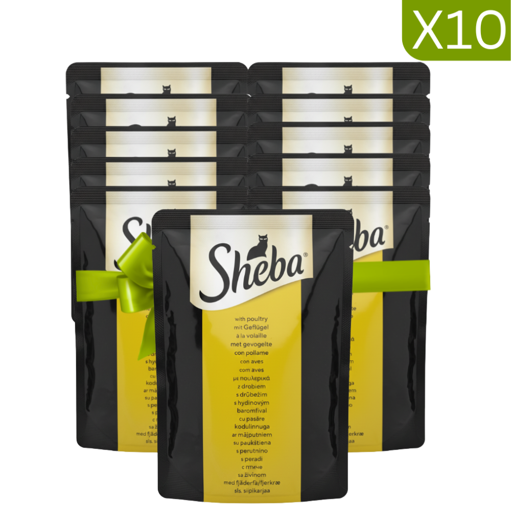 Buy 9 + 1 Free Sheba Wet Food for Cat with Poultry 85g Petfast.shop Sheba Bundles Cat Exclude Food Wet Food petfast.shop Egypt PBU5228S Default Title 999.00