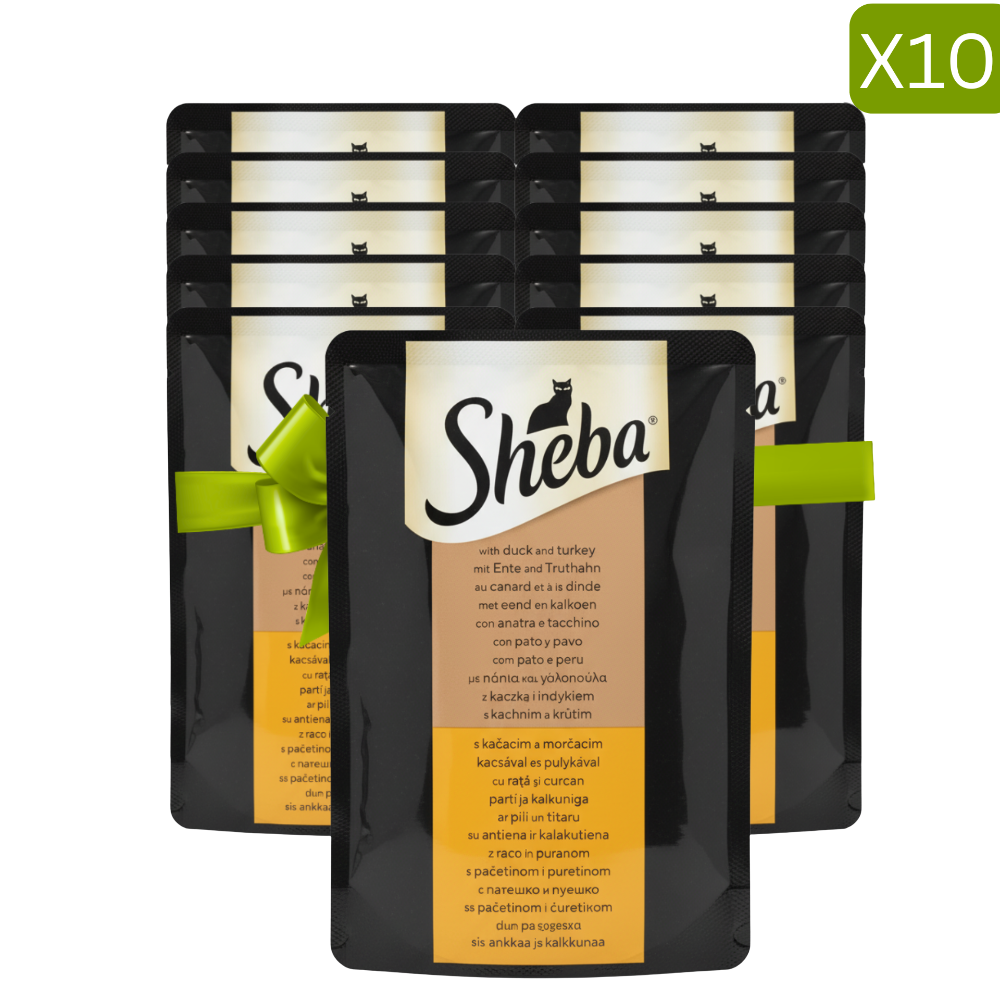 Buy 9 + 1 Free Sheba Wet Food for Cat with Duck & Turkey 85g Petfast.shop Sheba Bundles Cat Exclude Food Wet Food petfast.shop Egypt PBU5225S Default Title 999.00