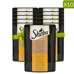 Buy 9 + 1 Free Sheba Wet Food for Cat with Duck & Turkey 85g Petfast.shop Sheba Bundles Cat Exclude Food Wet Food petfast.shop Egypt PBU5225S Default Title 999.00