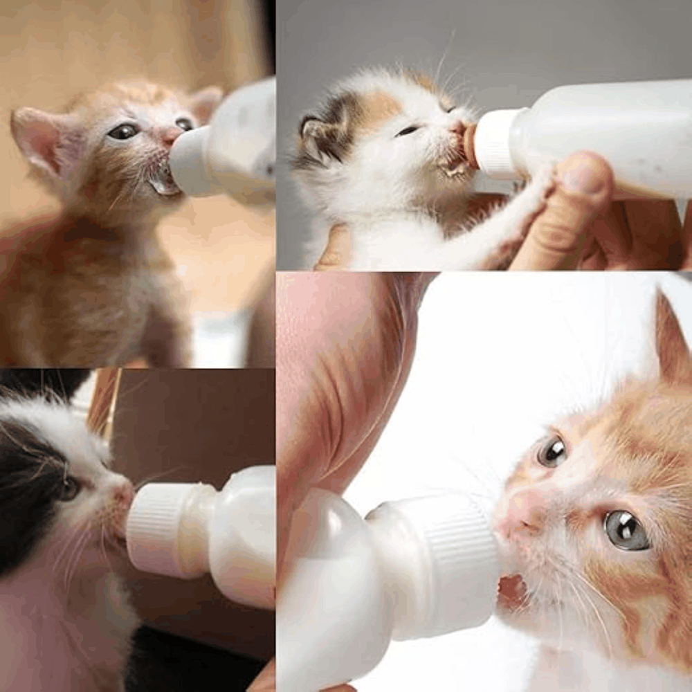 Bioline Pet Care Kit Petfast.shop
