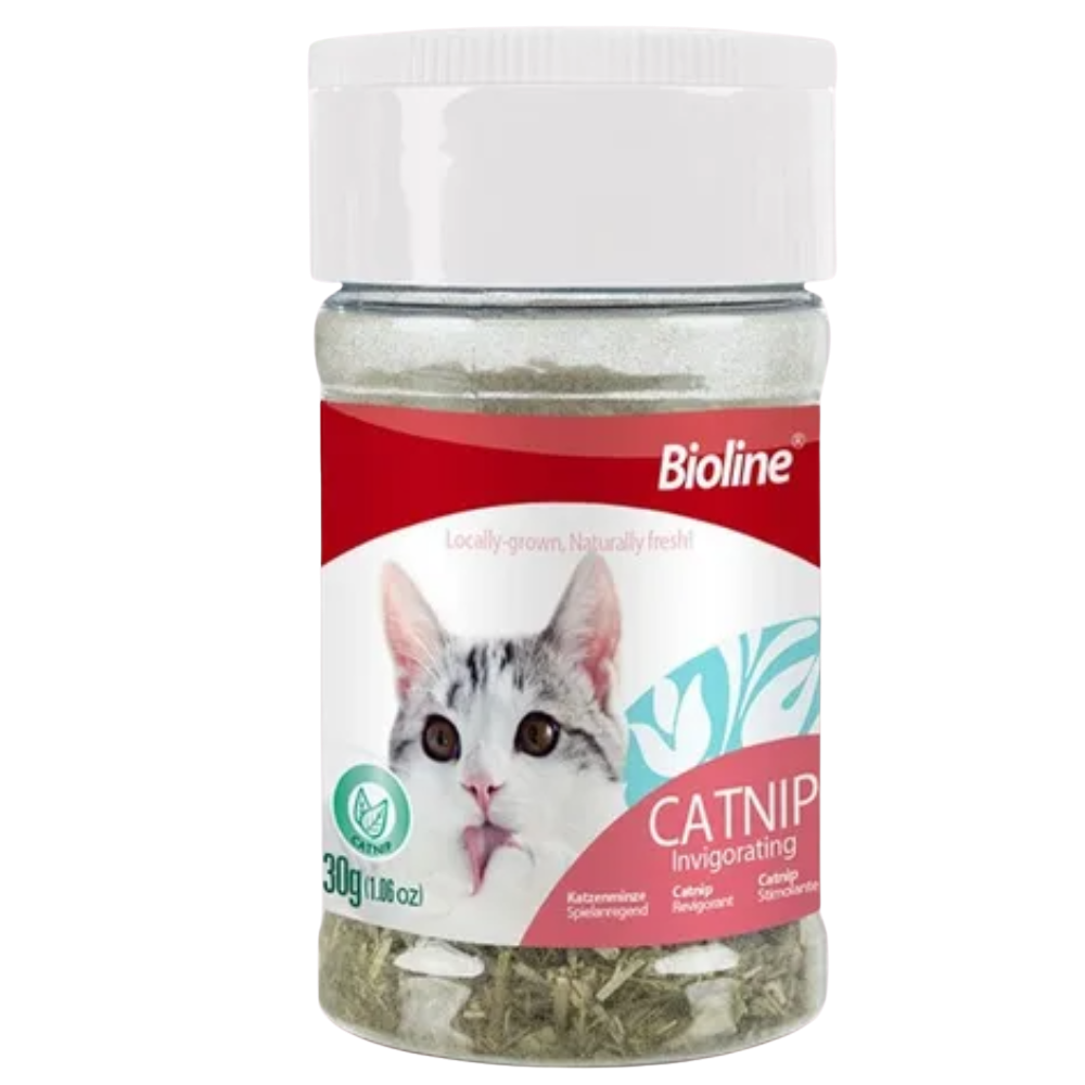 Bioline CatNip 30g(1.1Oz) Petfast.shop Bioline Cat Catnip Treats petfast.shop Egypt 315.00