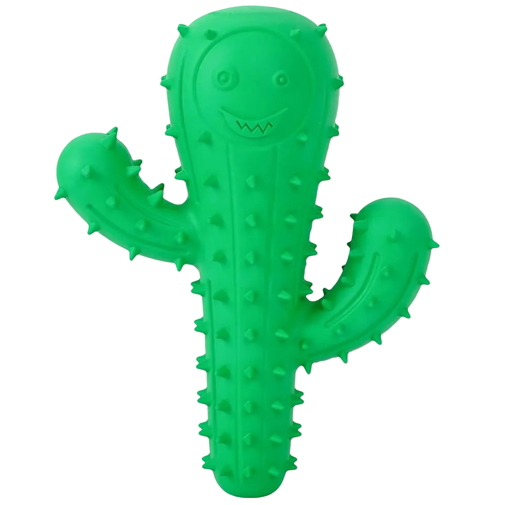 Buddy Pet Green Cactus Toy For Dogs