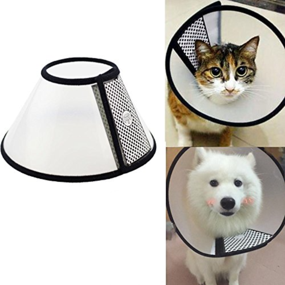 Covalent White Protective Pet Collar