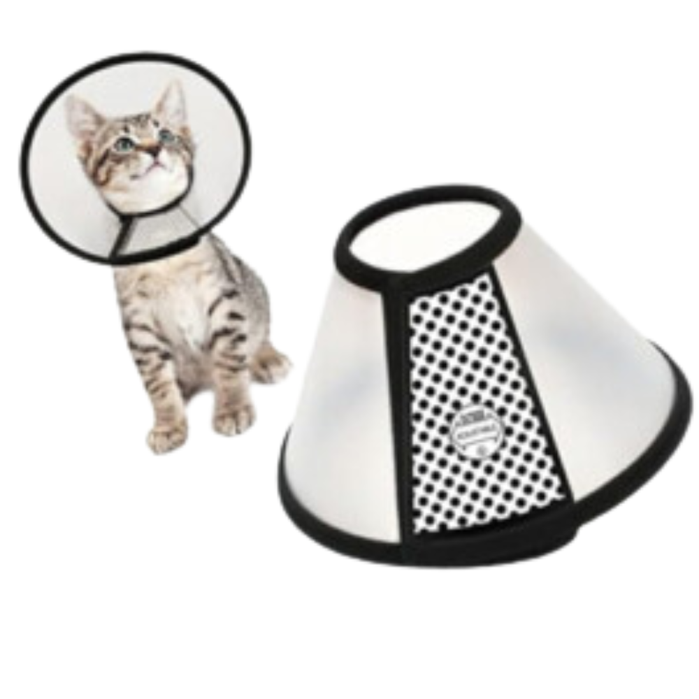 Covalent White Protective Pet Collar