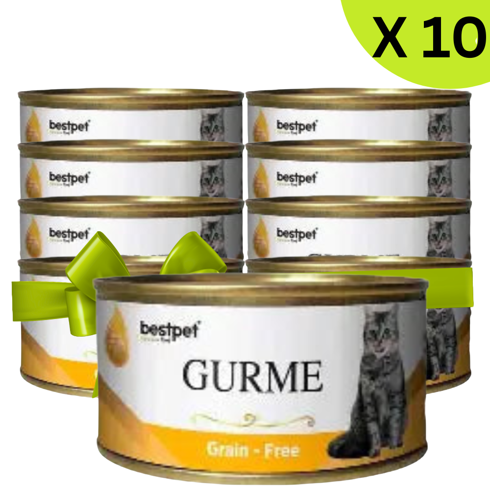 BUY 9 + 1 FREE Best Pet Gurme Adult Cat With Chicken 100g Petfast.shop Bestpet Bundles Cat Egypt Brand Exclude Food Wet Food petfast.shop Egypt 405.00