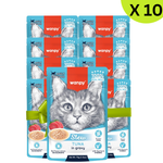 Packaging of wanpy cat food packets with a total of 10 packages.