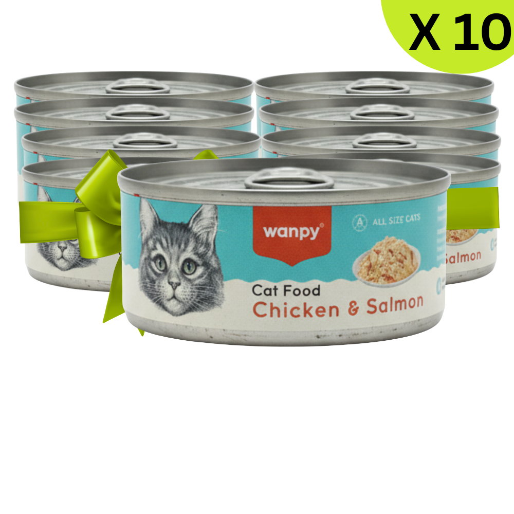 Packaging of 10 cans of wanpy cat food with chicken and salmon flavor on a white background.
