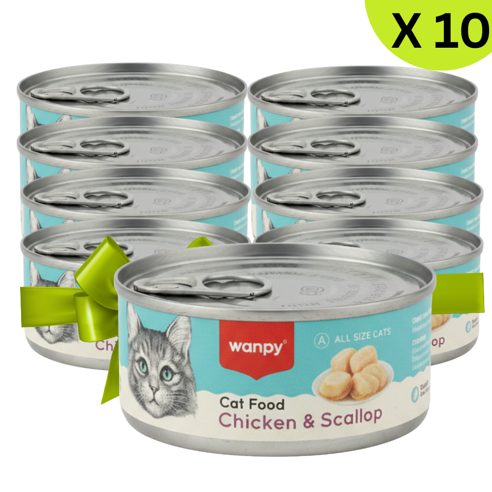 Packaging of Wanpy cat food cans with a green bow, labeled as 10 cans.