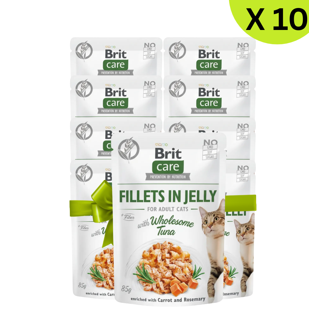 BUY 9 + 1FREE Brit Care Wet Food For Adult Cat Fillets In Jelly With Wholesome Tuna 85 G Petfast.shop Brit Bundles Cat Exclude Food Wet Food petfast.shop Egypt 630.00