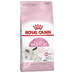 Royal Canin Mother & Babycat food packaging on a white background