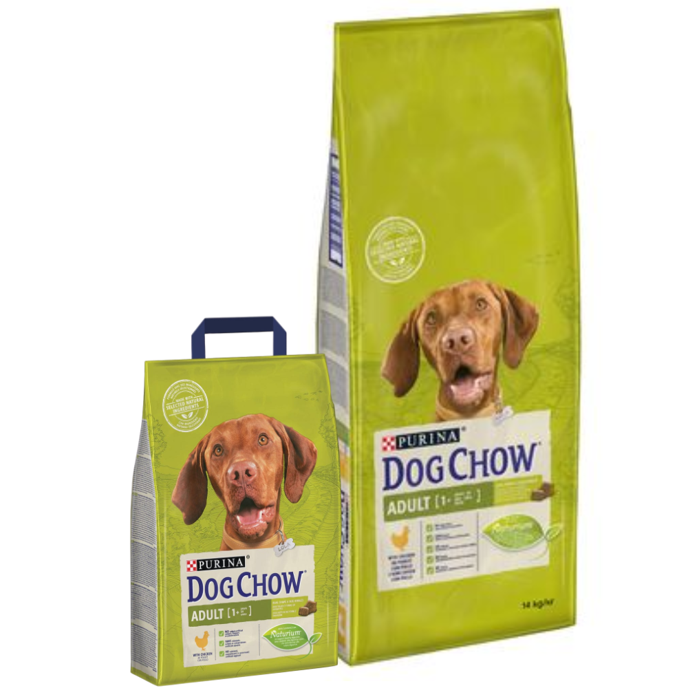 Two green bags of Purina Dog Chow with a dog's face on the label against a white background.
